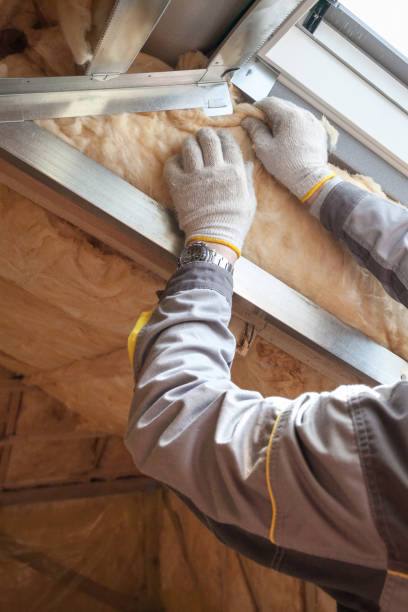 Best Blown-in Insulation in Burr Ridge, IL
